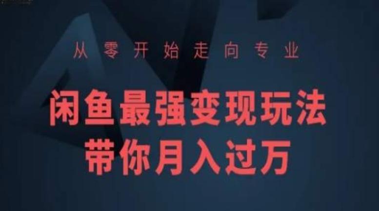 从零开始走向专业，闲鱼最强变现玩法带你月入过万-创新Ovo