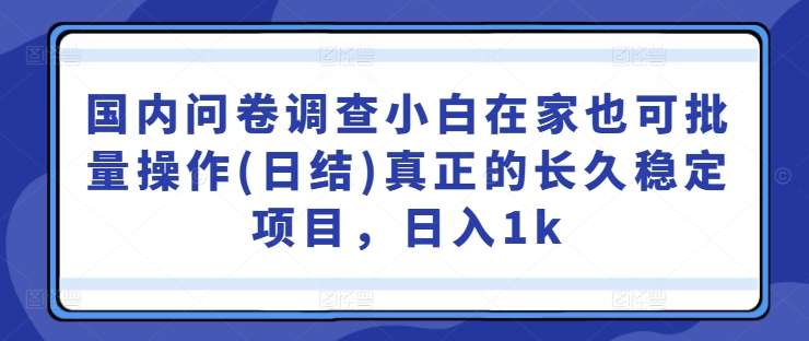 国内问卷调查小白在家也可批量操作(日结)真正的长久稳定项目，日入1k【揭秘】-创新Ovo