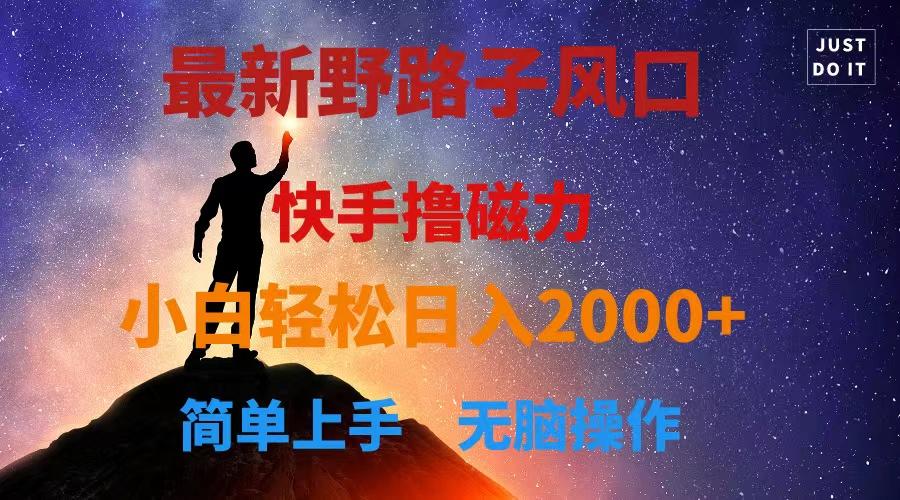 最新风口！快手撸磁力，野路子，小白无脑操作日入2000+-创新Ovo
