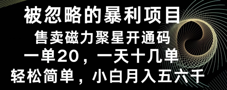 被忽略的暴利项目！售卖磁力聚星开通码，一单20，一天十几单，轻松月入五六千-创新Ovo