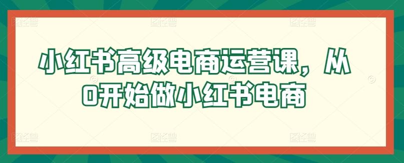 小红书高级电商运营课，从0开始做小红书电商-创新Ovo