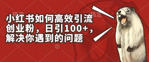 小红书如何高效引流创业粉，日引100+，解决你遇到的问题【揭秘】-创新Ovo