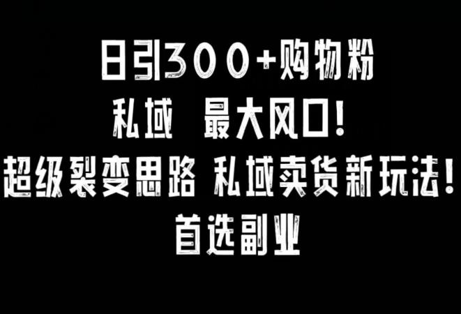 日引300+购物粉，超级裂变思路，私域卖货新玩法，小红书首选副业【揭秘】-创新Ovo