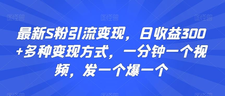 最新S粉引流变现，日收益300+多种变现方式，一分钟一个视频，发一个爆一个【揭秘】-创新Ovo