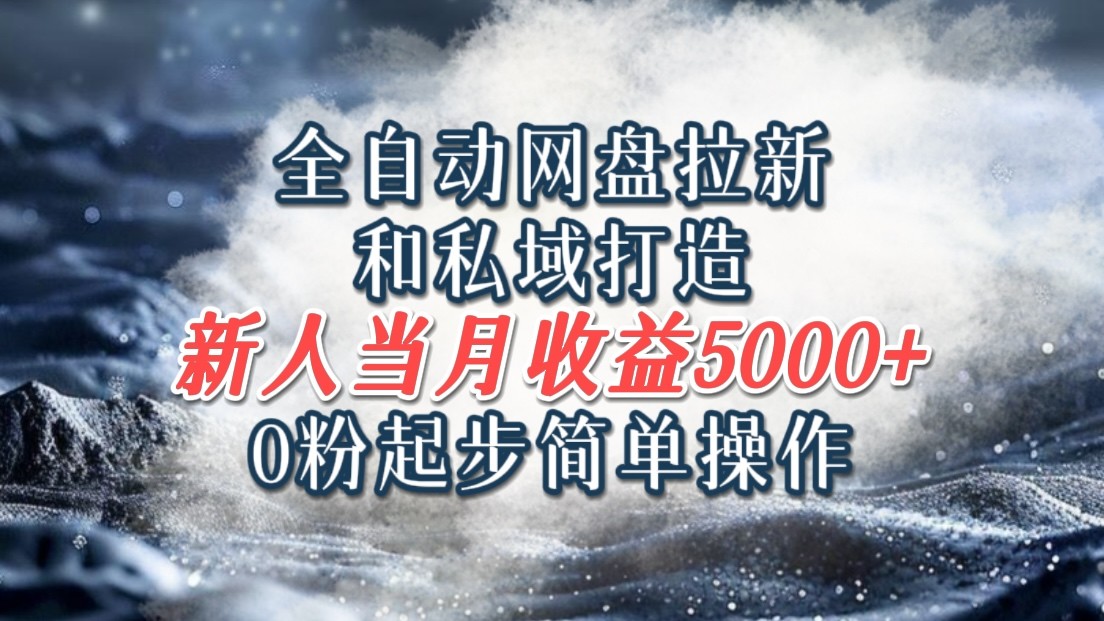 全自动网盘拉新和私域打造，0粉起步简单操作，新人入门当月收益5000以上-创新Ovo