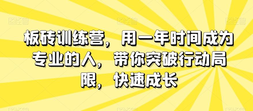 板砖训练营，用一年时间成为专业的人，带你突破行动局限，快速成长-创新Ovo