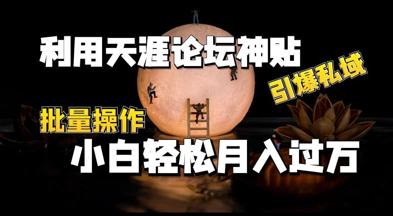 利用天涯论坛神贴，引爆私域，批量操作，小白轻松月入过w【揭秘】-创新Ovo