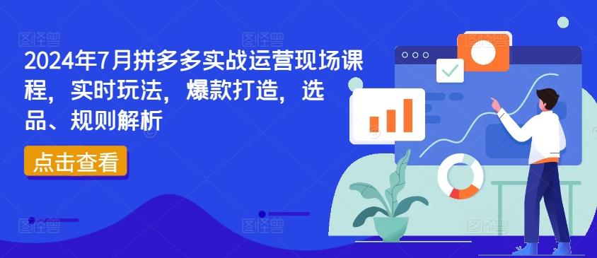 2024年7月拼多多实战运营现场课程，实时玩法，爆款打造，选品、规则解析-创新Ovo
