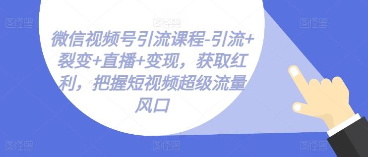 微信视频号引流课程-引流+裂变+直播+变现，获取红利，把握短视频超级流量风口-创新Ovo