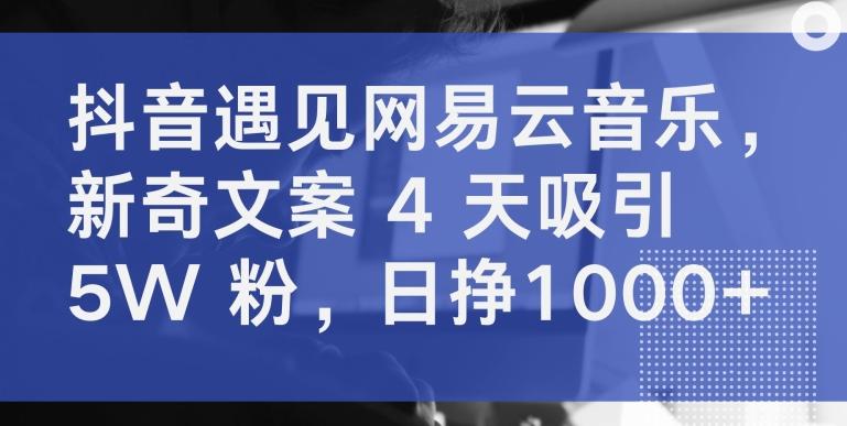 抖音遇见网易云音乐，新奇文案 4 天吸引 5W 粉，日挣1000+【揭秘】-创新Ovo