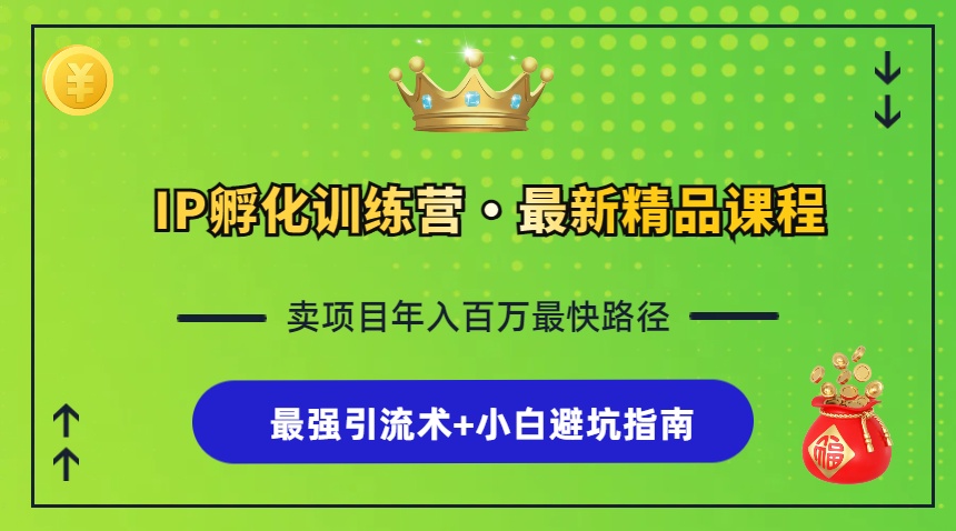 IP孵化训练营，知识付费全流程+最强引流术+小白避坑指南-创新Ovo