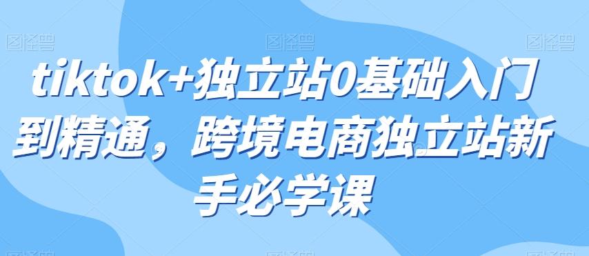 tiktok+独立站0基础入门到精通，跨境电商独立站新手必学课-创新Ovo