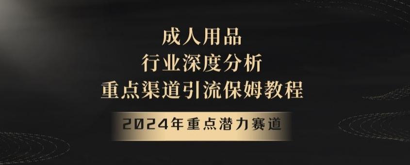 2024年重点潜力赛道，成人用品行业深度分析，重点渠道引流保姆教程【揭秘】-创新Ovo