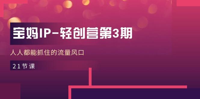 宝妈IP-轻创营第3期，人人都能抓住的流量风口(21节课-创新Ovo