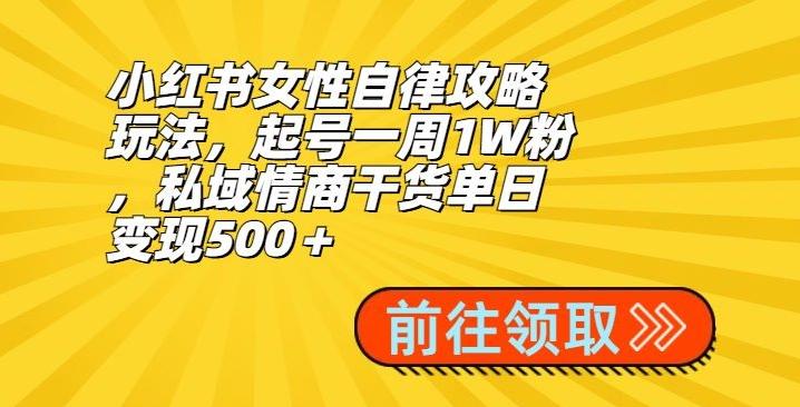 小红书女性自律攻略玩法，起号一周1W粉，私域情商干货单日变现500＋-创新Ovo