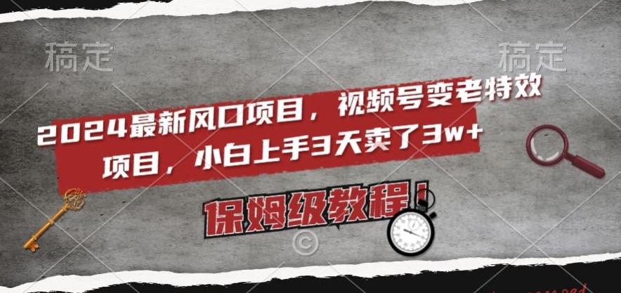 2024最新风口项目，视频号变老特效项目，电脑小白上手3天卖了3w+，保姆级教程【揭秘】-创新Ovo