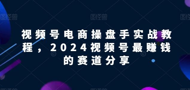 视频号电商实战教程，2024视频号最赚钱的赛道分享-创新Ovo