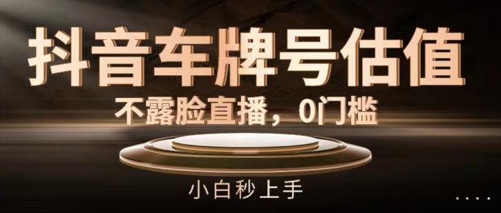 抖音车牌号估值，不露脸直播，0门槛，小白秒上手【揭秘】-创新Ovo