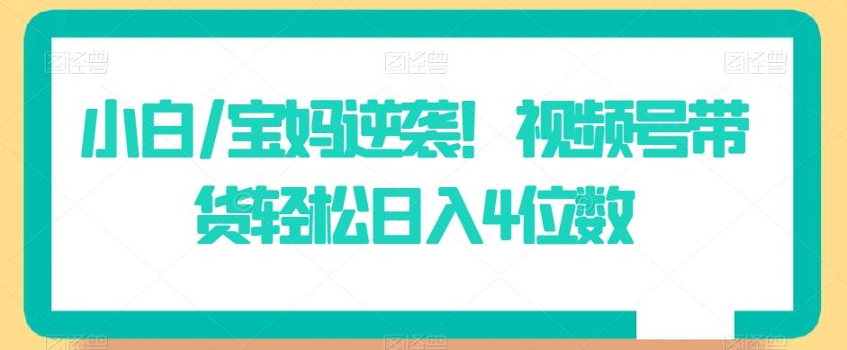 小白/宝妈逆袭！视频号带货轻松日入4位数【揭秘】-创新Ovo