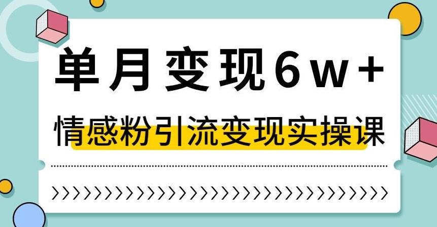 单月变现6W+，抖音情感粉引流变现实操课，小白可做，轻松上手，独家赛道【揭秘】-创新Ovo