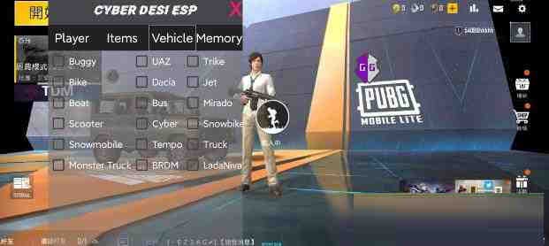 PUBG轻量老外裸奔绘制+自瞄 支持ROOT和框架 里面有全局离线-创新Ovo