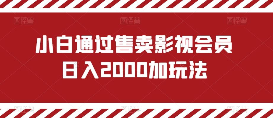 小白通过售卖影视会员日入2000加玩法-创新Ovo
