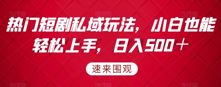 热门短剧私域玩法，小白也能轻松上手，日入500＋-创新Ovo