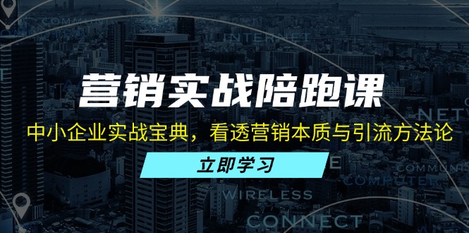 营销实战陪跑课：中小企业实战宝典，看透营销本质与引流方法论-创新Ovo