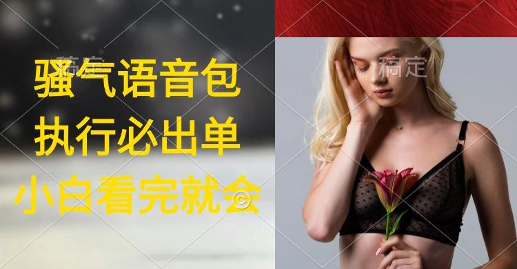 (9589期)执行就出单，日入2000+，超火骚气语音包，小白看完课程就能马上实操-创新Ovo