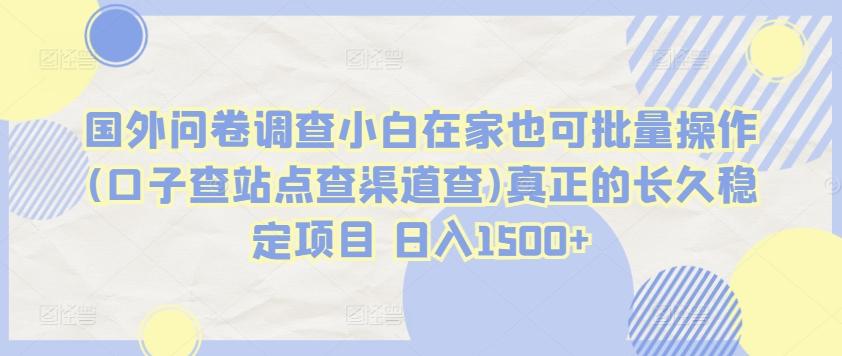 国外问卷调查小白在家也可批量操作(口子查站点查渠道查)真正的长久稳定项目 日入1500+【揭秘】-创新Ovo