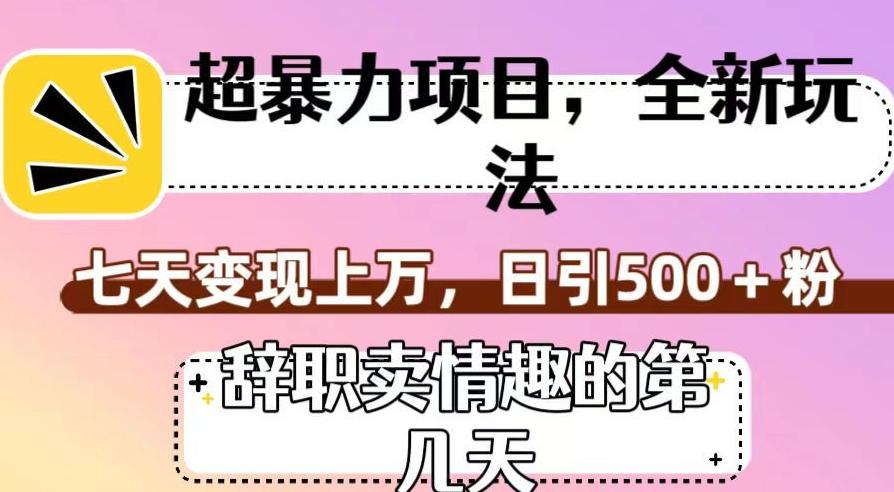 超暴利项目，全新玩法（辞职卖情趣的第几天），七天变现上万，日引500+粉【揭秘】-创新Ovo