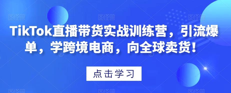 TikTok直播带货实战训练营，引流爆单，学跨境电商，向全球卖货！-创新Ovo