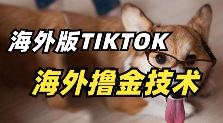 抖音海外版tiktok撸金技术，这个风口行业，赚钱真的不难【揭秘】-创新Ovo