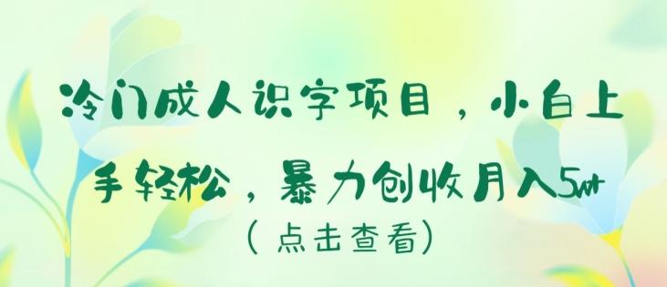 冷门成人识字项目，小白上手轻松，暴力创收月入5w+【揭秘】-创新Ovo