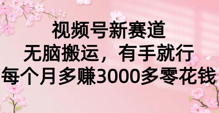 (9278期)视频号新赛道，无脑搬运，有手就行，每个月多赚3000多零花钱-创新Ovo