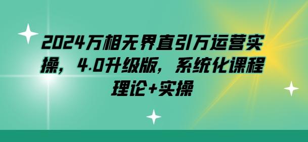 2024万相无界直引万运营实操，4.0升级版，系统化课程 理论+实操-创新Ovo