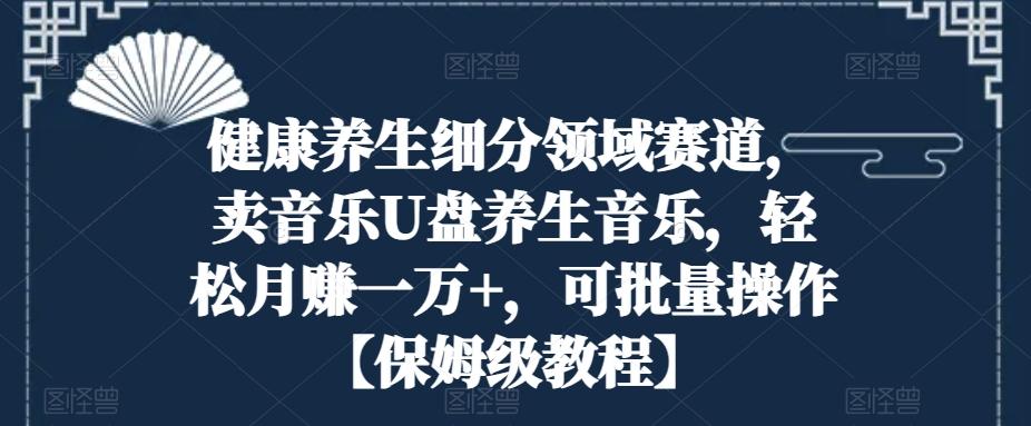 健康养生细分领域赛道，卖音乐U盘养生音乐，轻松月赚一万+，可批量操作【保姆级教程】-创新Ovo