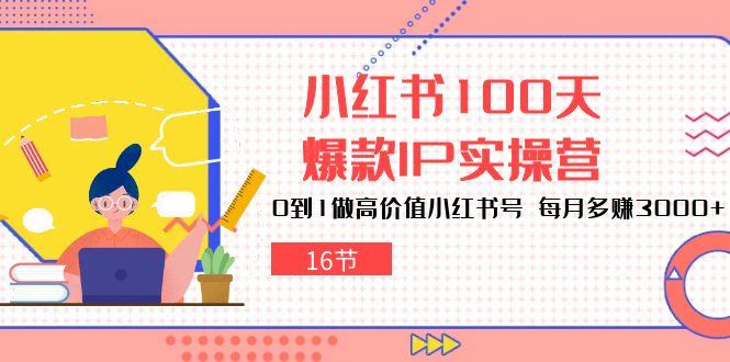 小红书100天-爆款IP实操营，0到1做高价值小红书号 每月多赚3000+(16节-创新Ovo