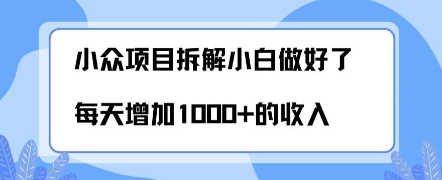 小众项目拆解，小白做好了每天可增加1000多的收入-创新Ovo