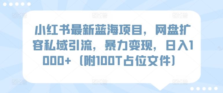 小红书最新蓝海项目，网盘扩容私域引流，暴力变现，日入1000+(附100T占位文件)【揭秘】-创新Ovo