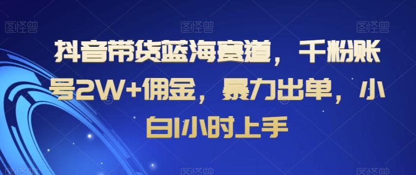 抖音带货蓝海赛道，千粉账号2W+佣金，暴力出单，小白1小时上手【揭秘】-创新Ovo