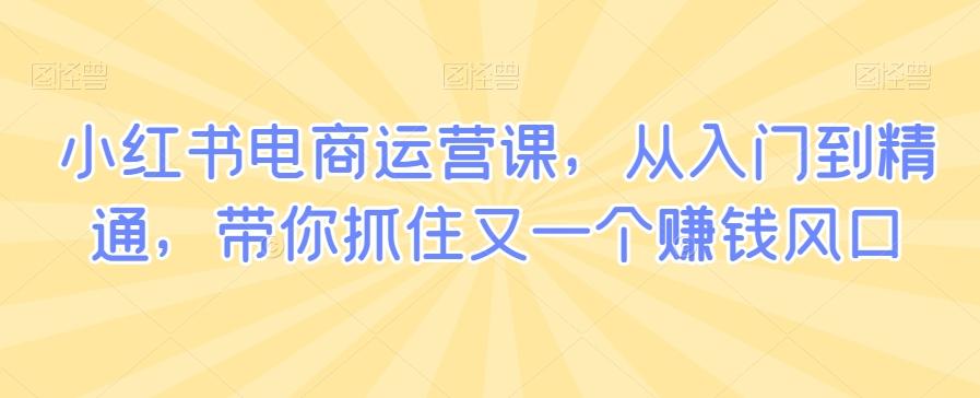 小红书电商运营课，从入门到精通，带你抓住又一个赚钱风口-创新Ovo