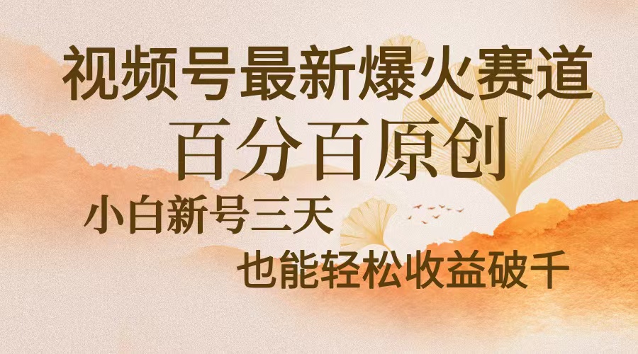 视频号最新爆火赛道，中老年粉深信不疑，百分百原创，新号三天收益轻松…-创新Ovo