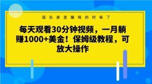 每天观看30分钟视频，一月躺赚1000+美金！保姆级教程，可放大操作【揭秘】-创新Ovo
