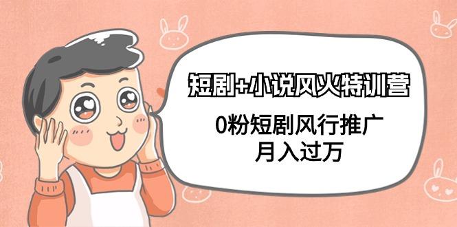 (9374期)短剧+小说风火特训营，0粉短剧风行推广，月入过万(102节课)-创新Ovo