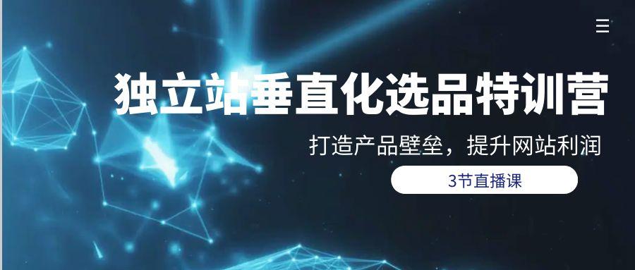 (9925期)独立站-垂直化选品训练营，打造产品壁垒，提升网站利润(3节直播课)-创新Ovo