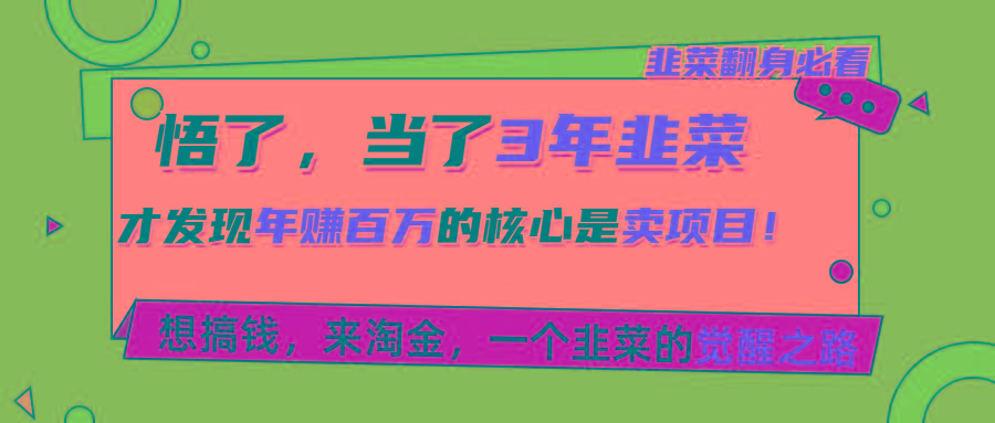 悟了，当了3年韭菜，才发现网赚圈年赚100万的核心是卖项目，含泪分享！-创新Ovo