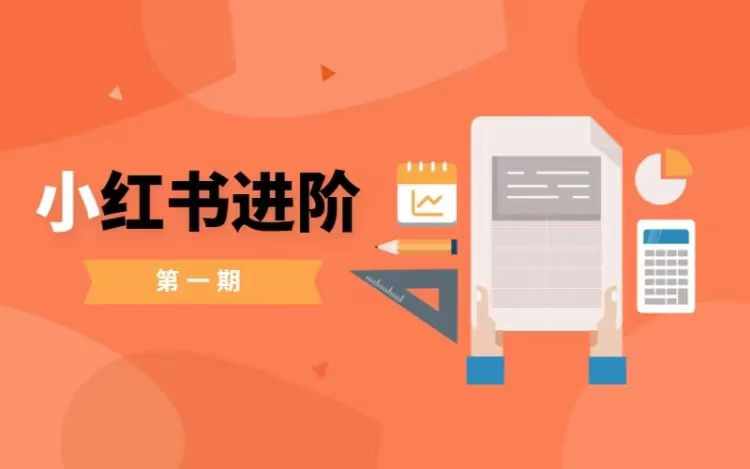 小红书进阶篇，零基础小白实战课，普通人变现的课程-创新Ovo