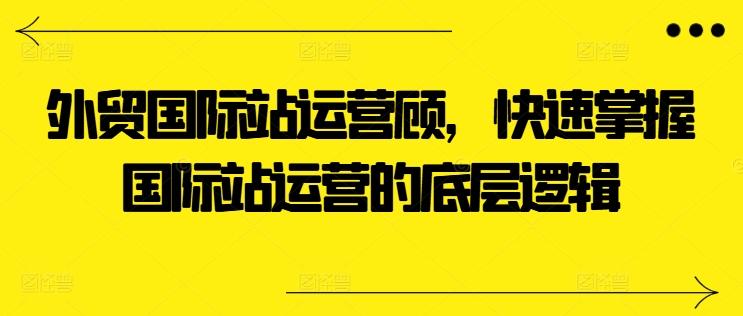 外贸国际站运营顾问，快速掌握国际站运营的底层逻辑-创新Ovo