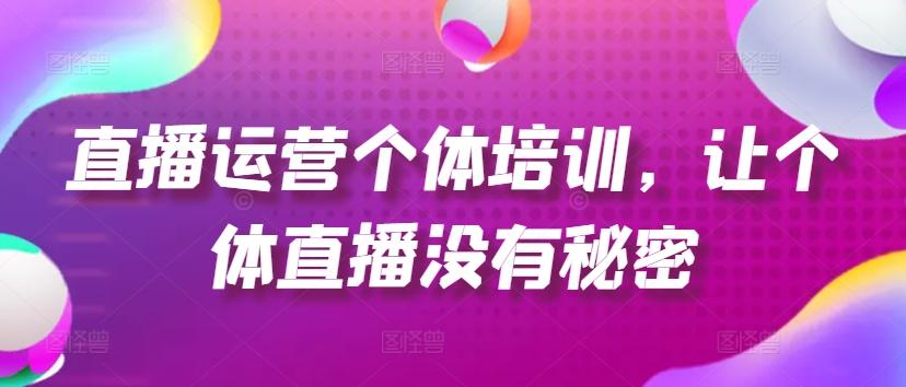 直播运营个体培训，让个体直播没有秘密，起号、货源、单品打爆、投流等玩法-创新Ovo